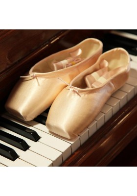 Ballet Pointe Shoes